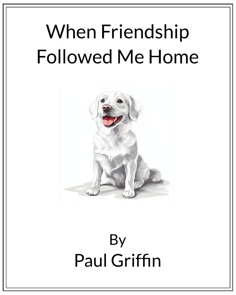 Cover image for When Friendship Followed Me Home